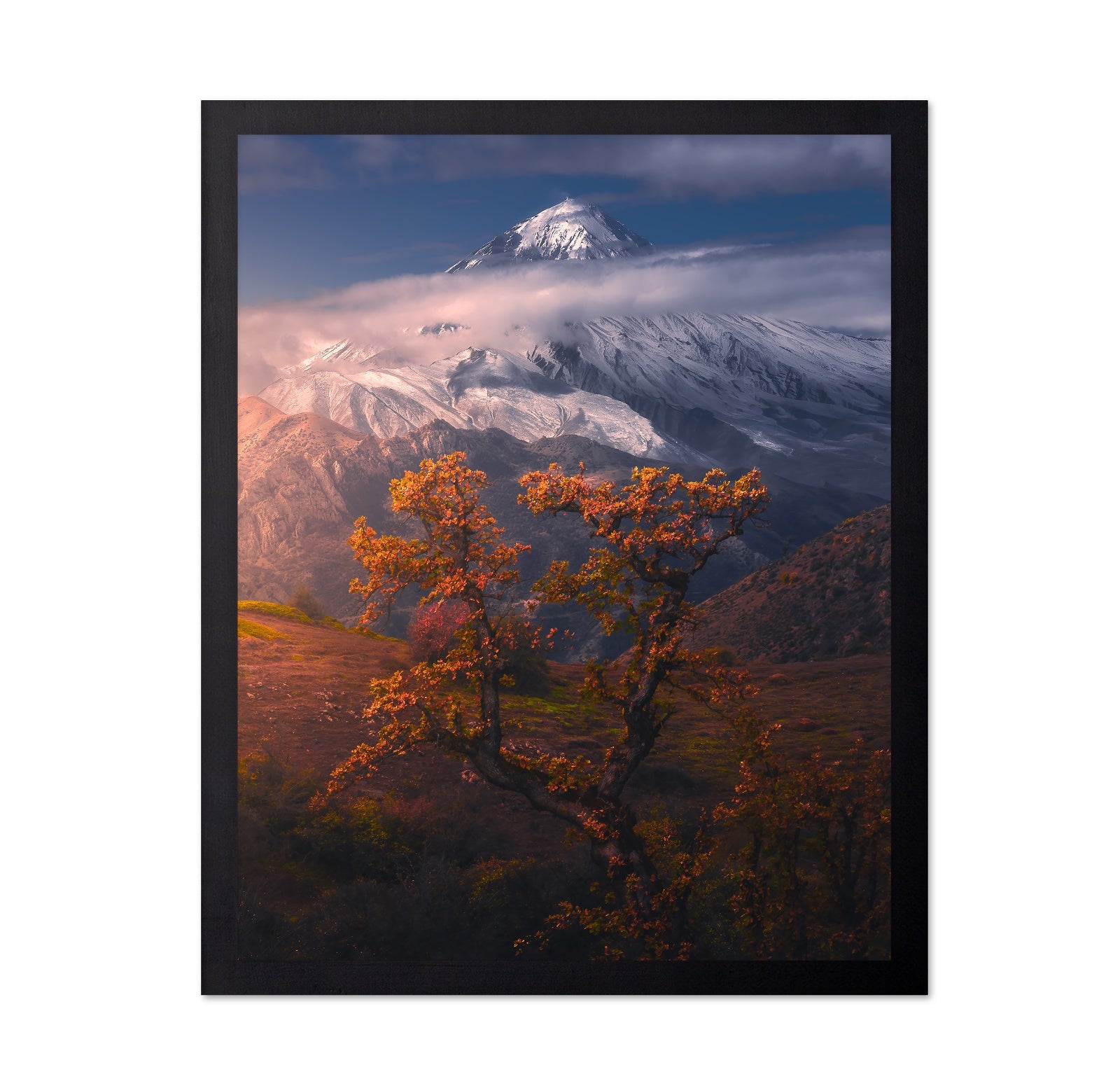 Autumn Trees Mountain Peak