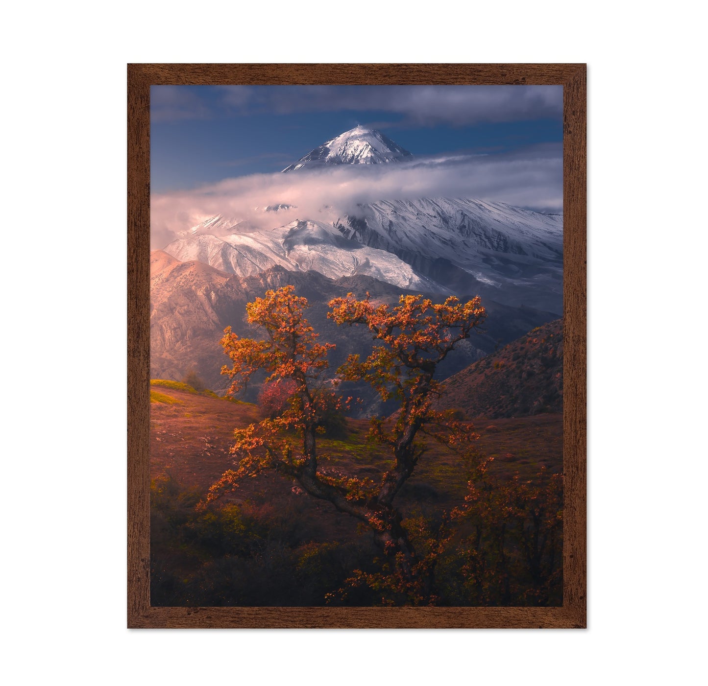 Autumn Trees Mountain Peak