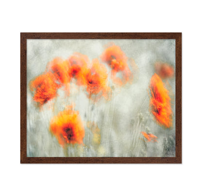 Abstract Poppy Flowers Blur