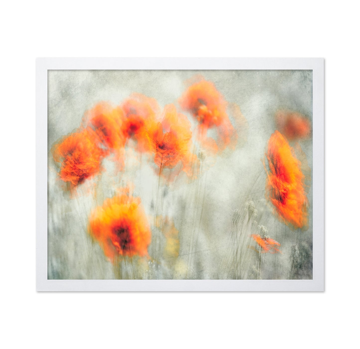 Abstract Poppy Flowers Blur