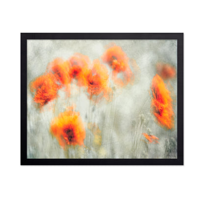 Abstract Poppy Flowers Blur