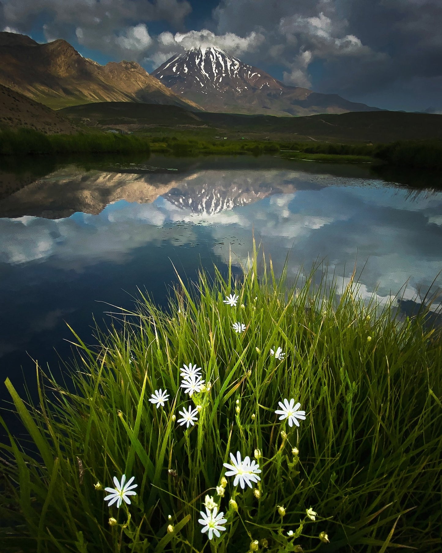 Mountain Lake Reflection Flowers