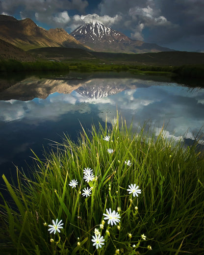 Mountain Lake Reflection Flowers