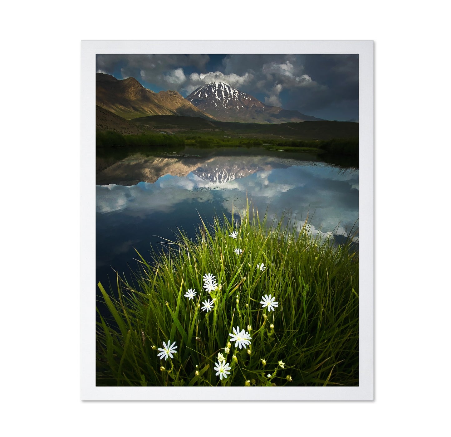 Mountain Lake Reflection Flowers