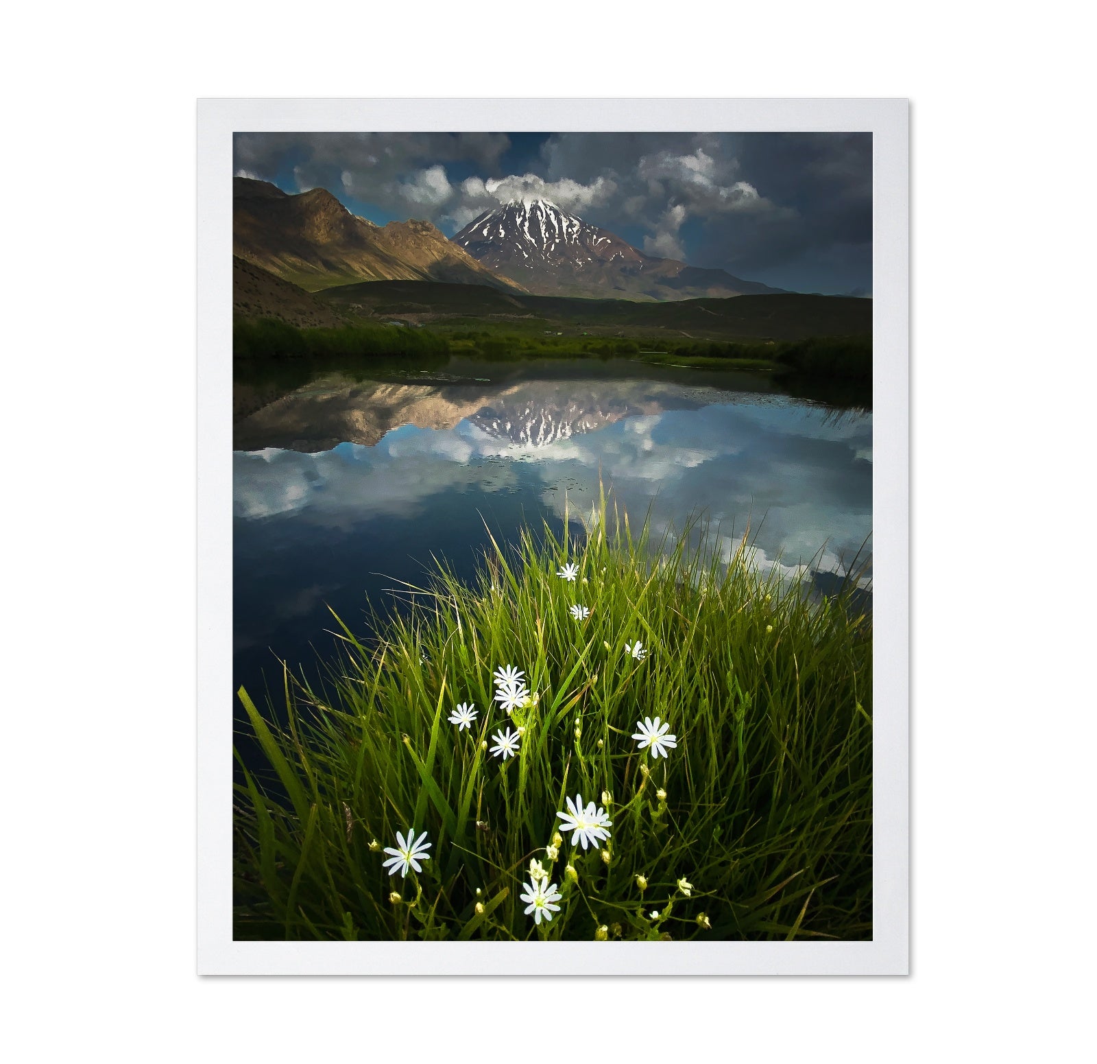 Mountain Lake Reflection Flowers
