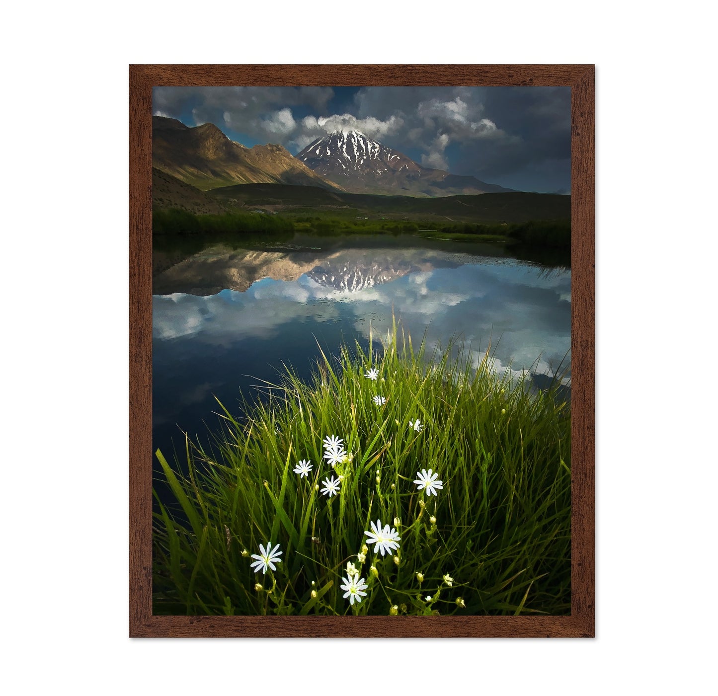 Mountain Lake Reflection Flowers