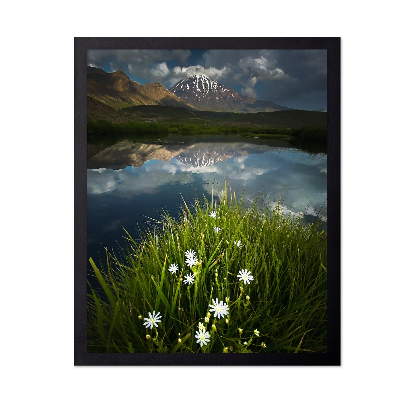 Mountain Lake Reflection Flowers