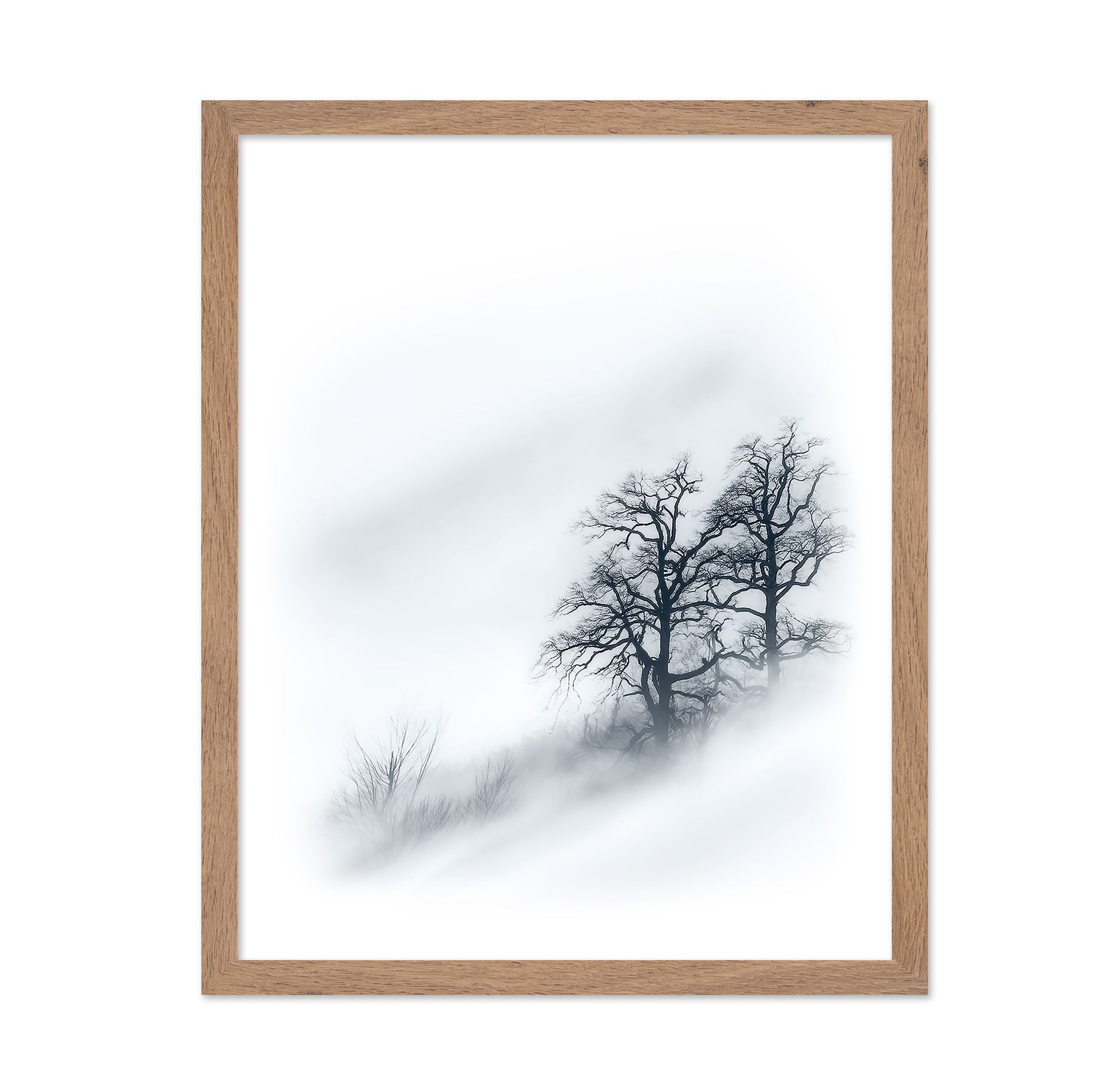 Minimal Trees In Fog