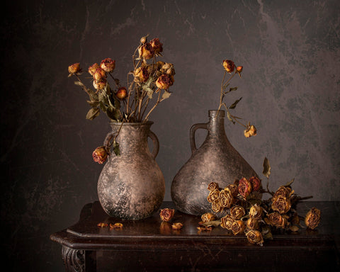 Vintage Rose Still Life