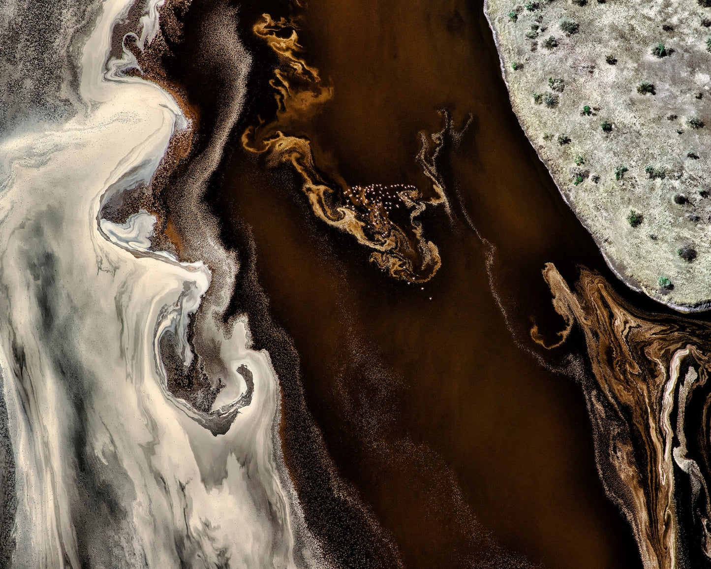 Abstract Earth Patterns No1