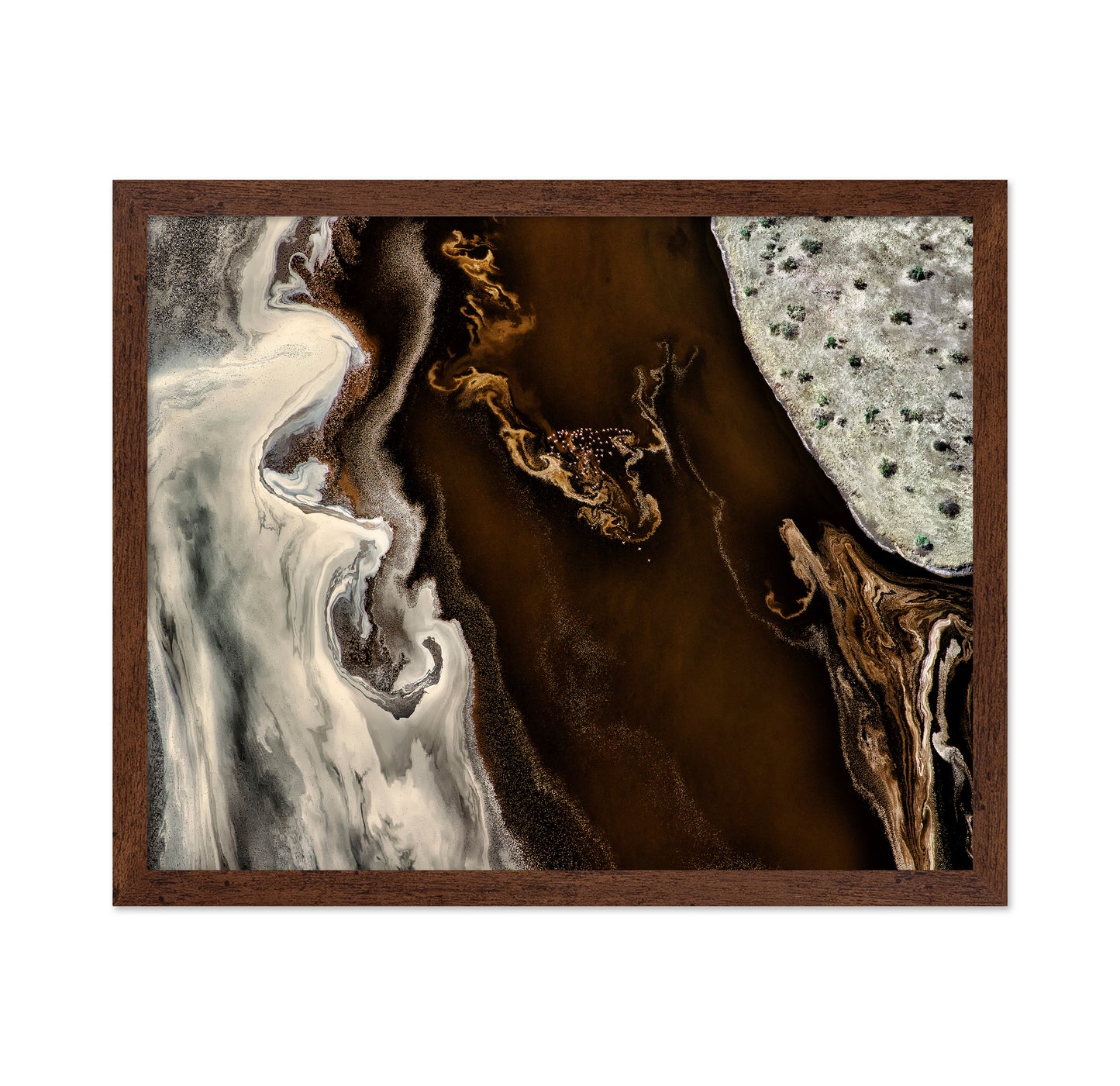 Abstract Earth Patterns No1