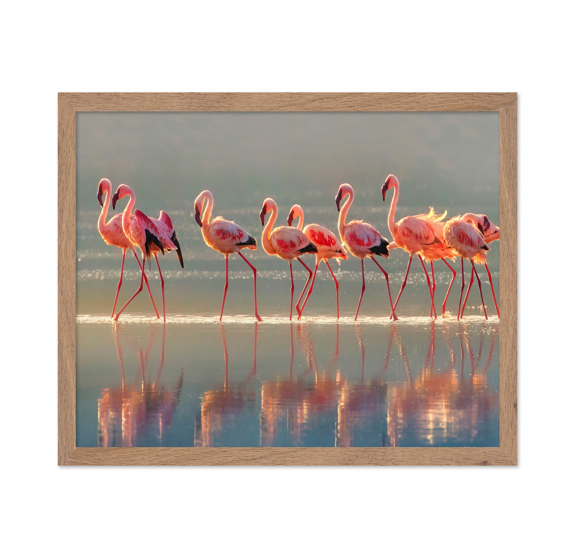 Flamingo Group Reflection