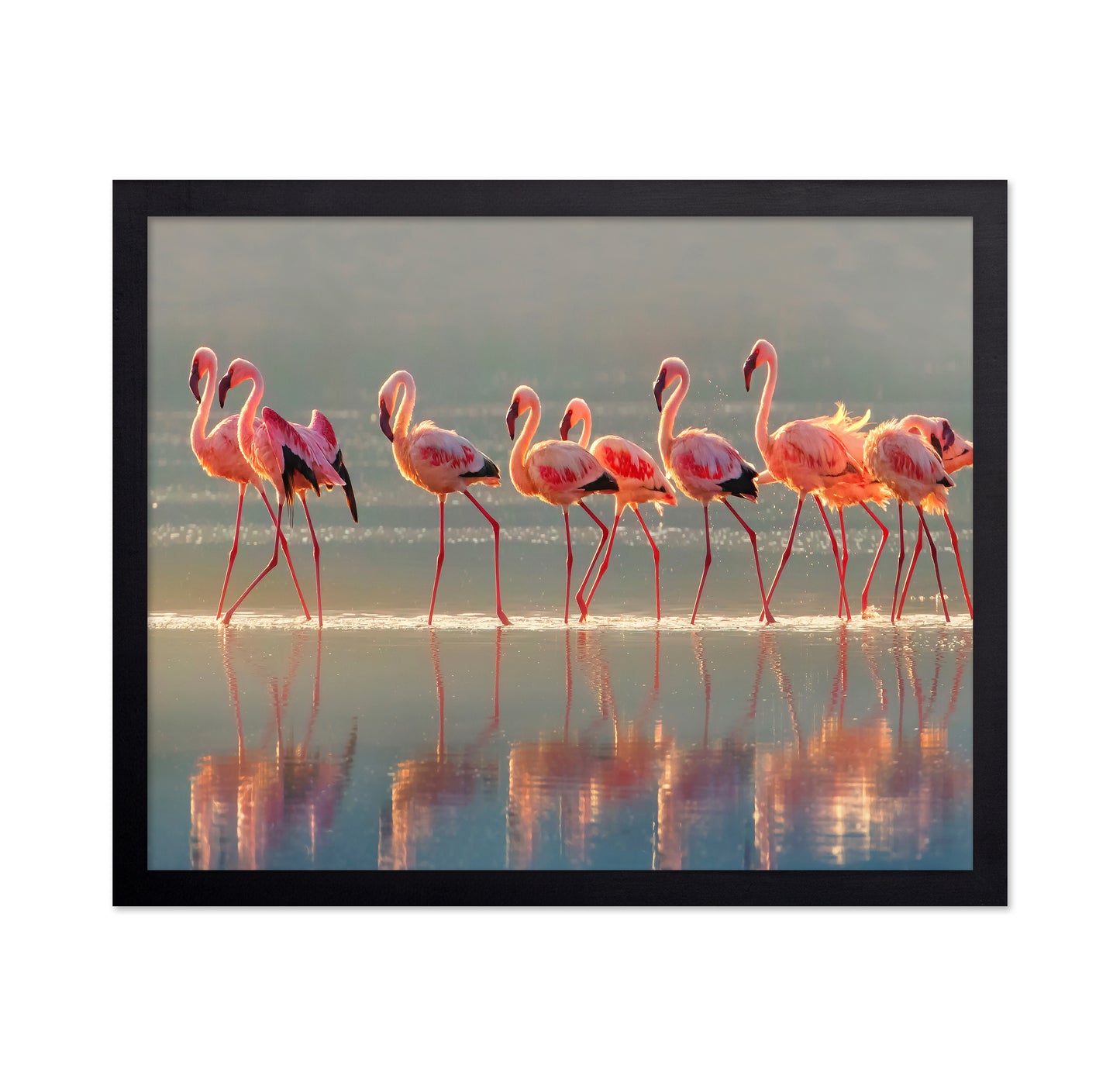 Flamingo Group Reflection