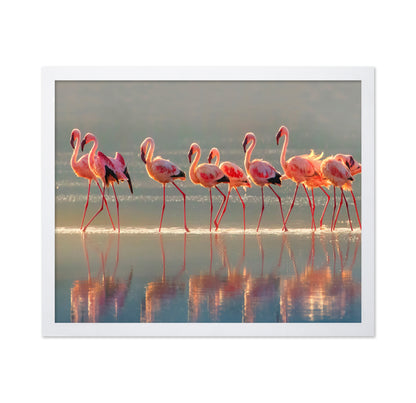 Flamingo Group Reflection