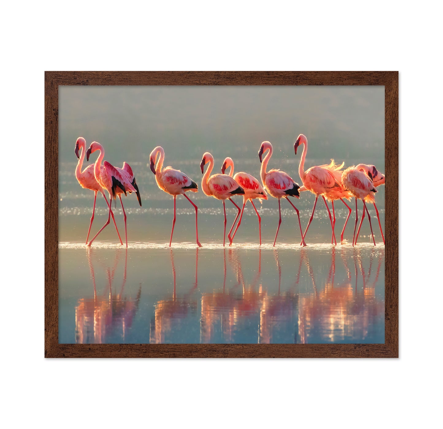 Flamingo Group Reflection