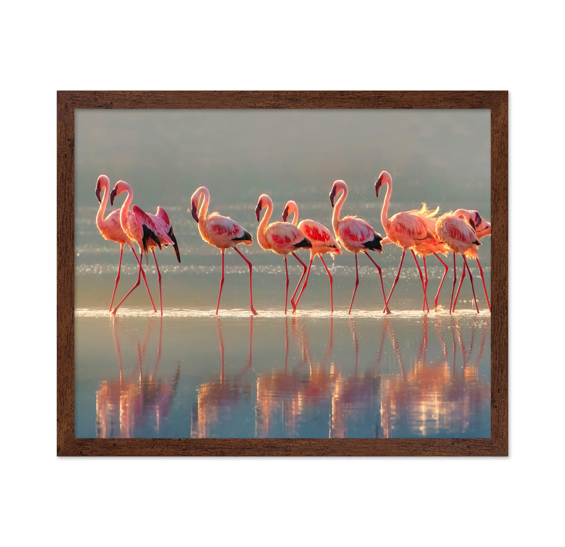 Flamingo Group Reflection