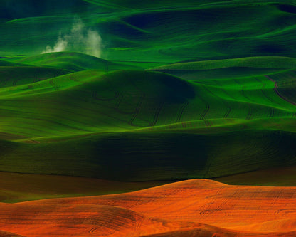 Rolling Hills Landscape No1