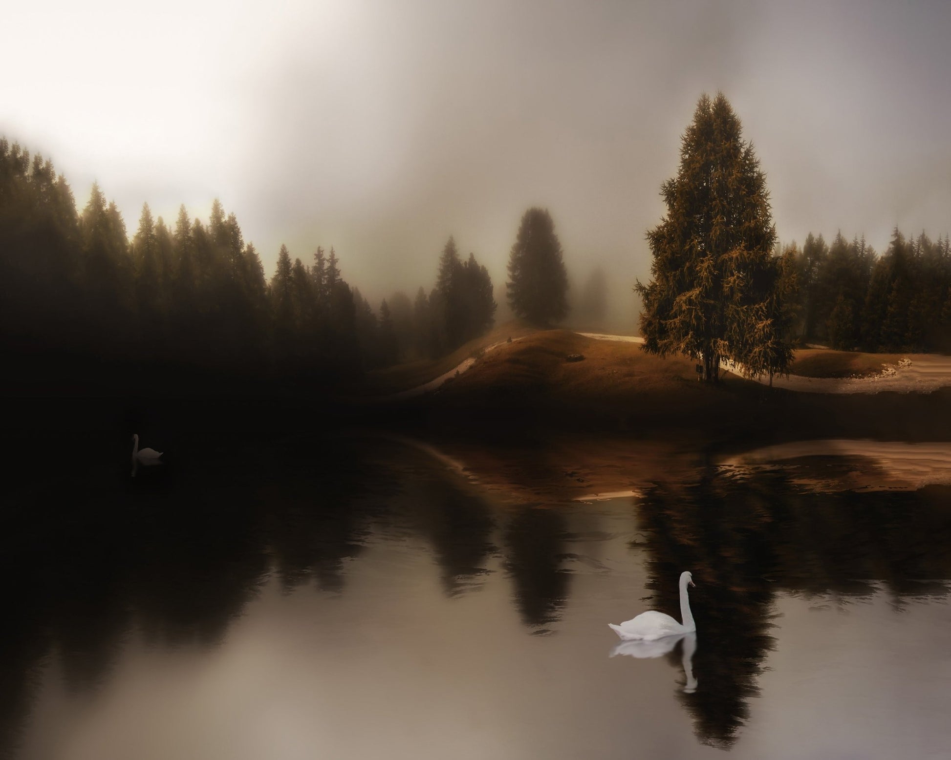 Swan Lake Mist