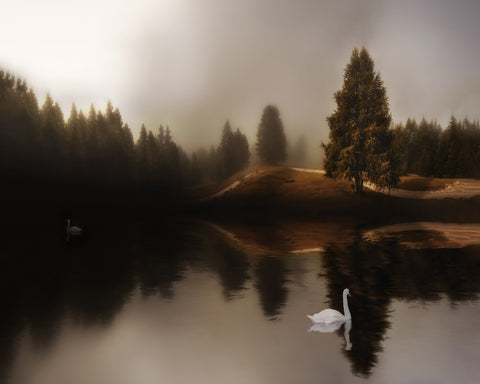 Swan Lake Mist