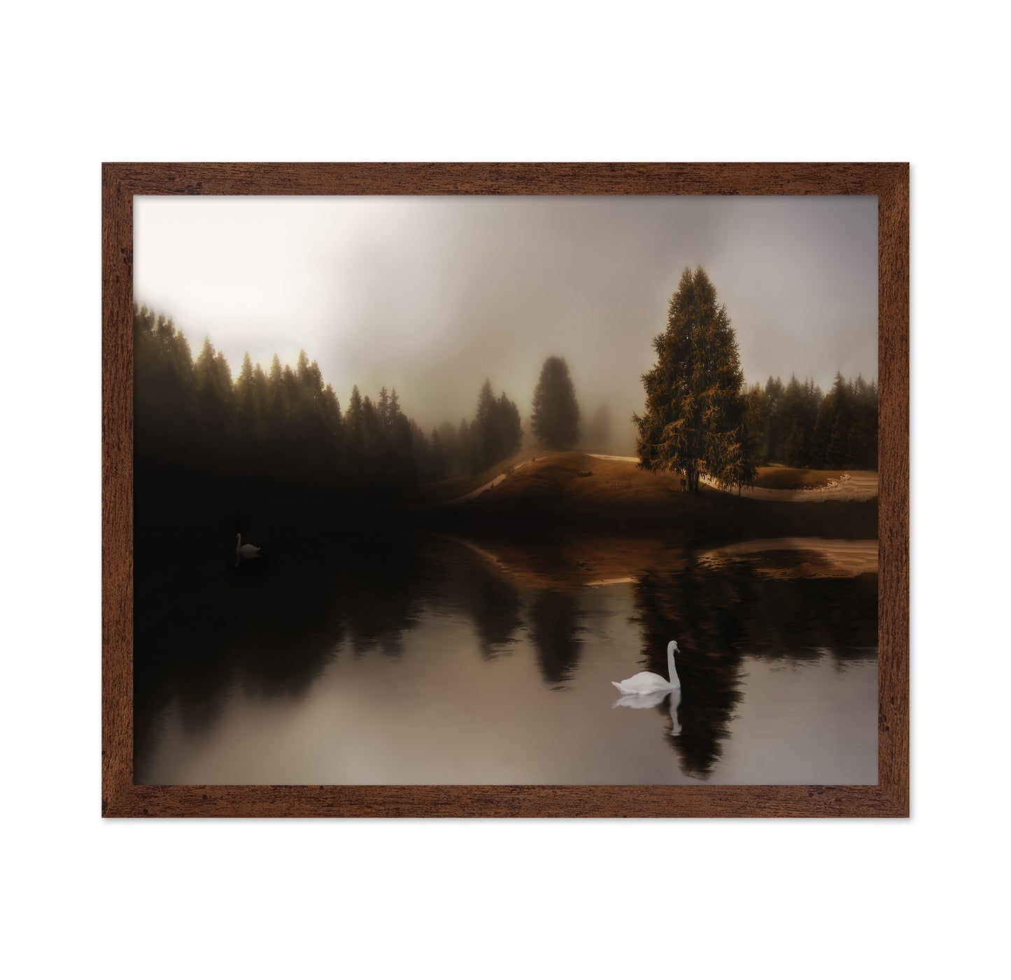 Swan Lake Mist