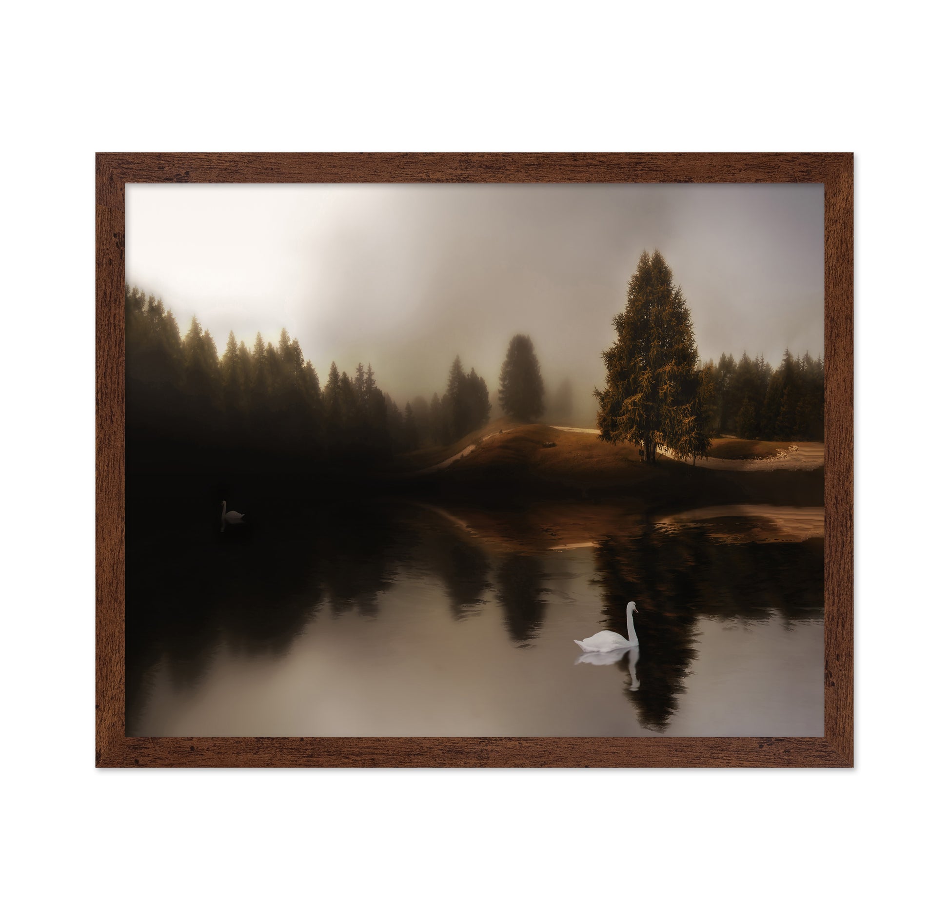 Swan Lake Mist