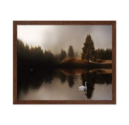Swan Lake Mist