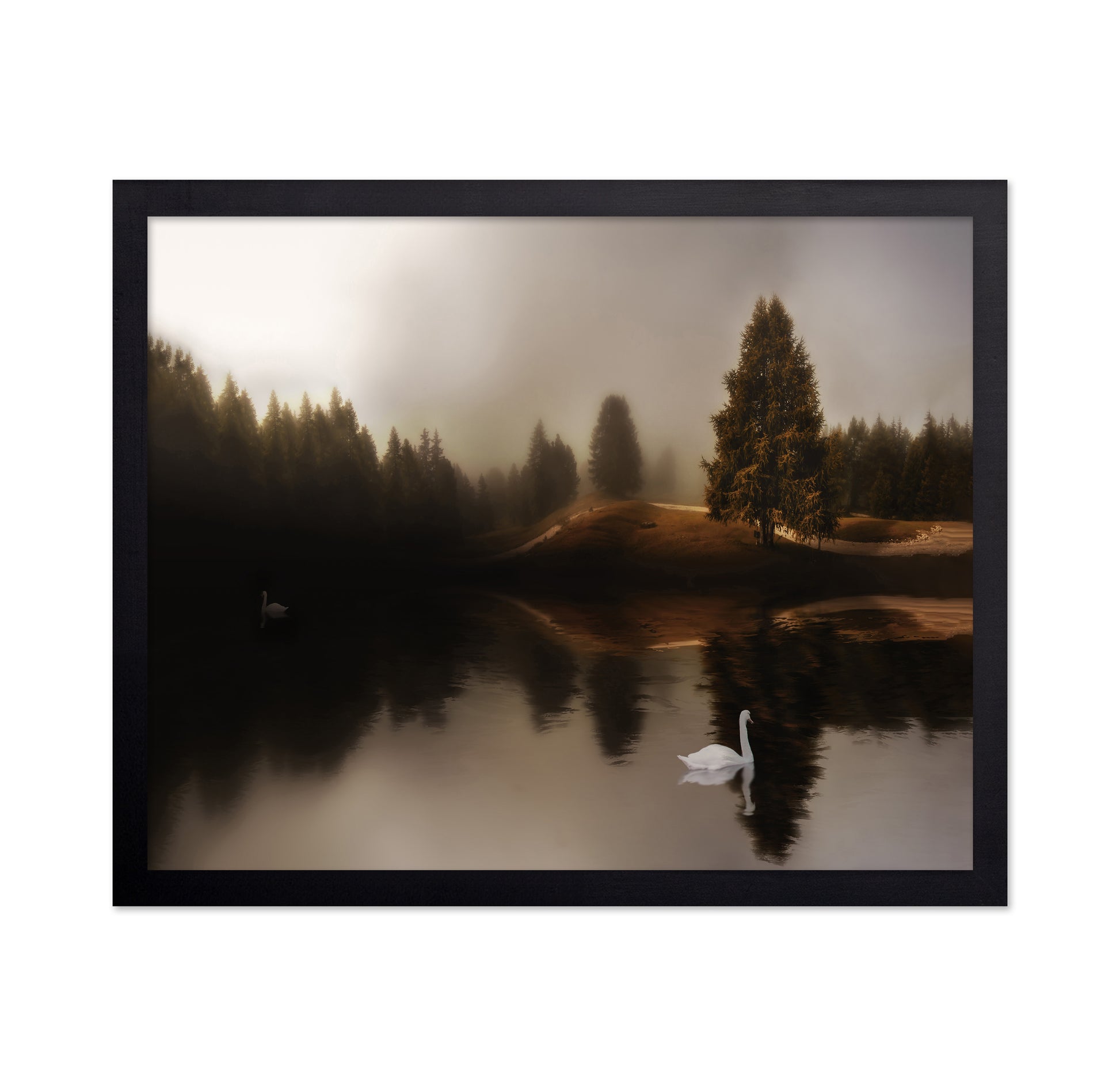 Swan Lake Mist