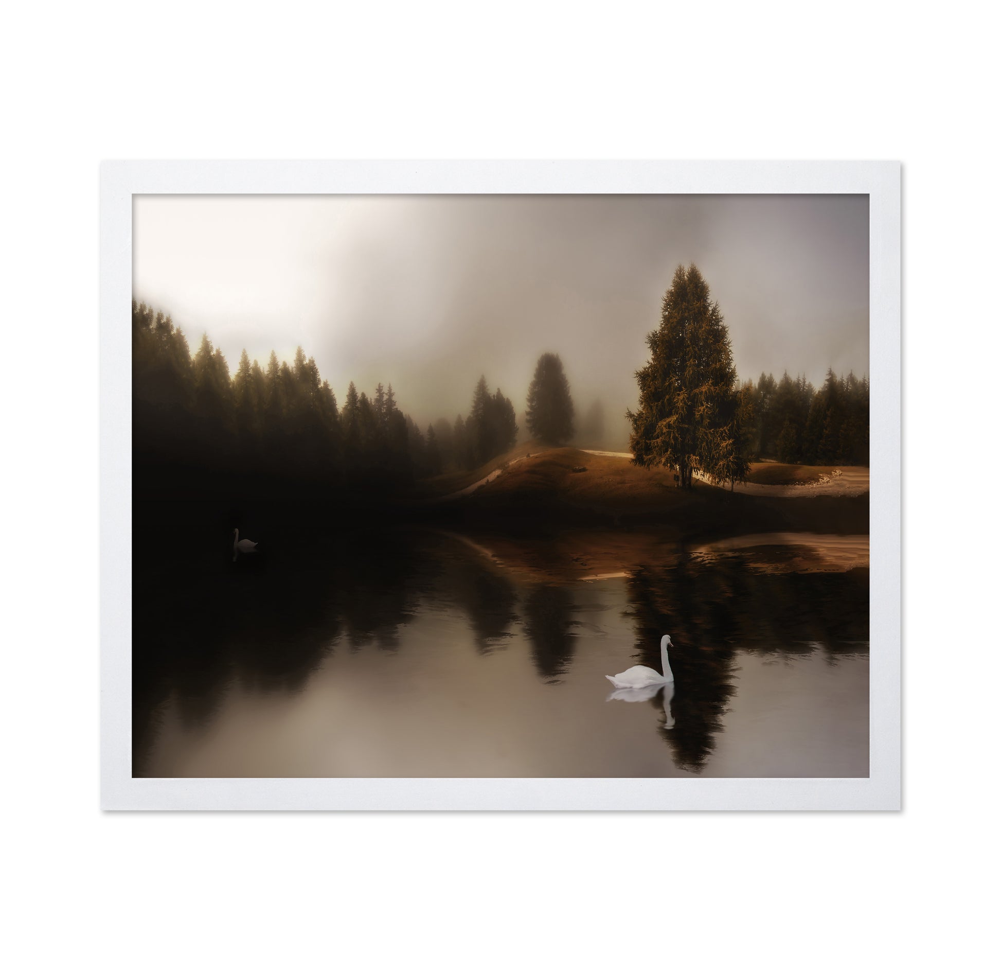 Swan Lake Mist