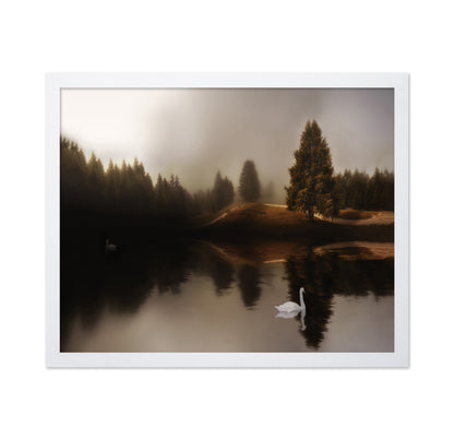 Swan Lake Mist