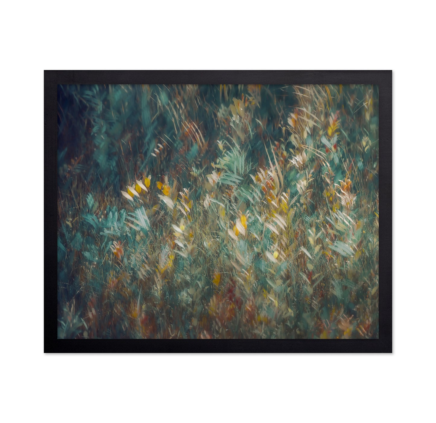 Wild Grass Field