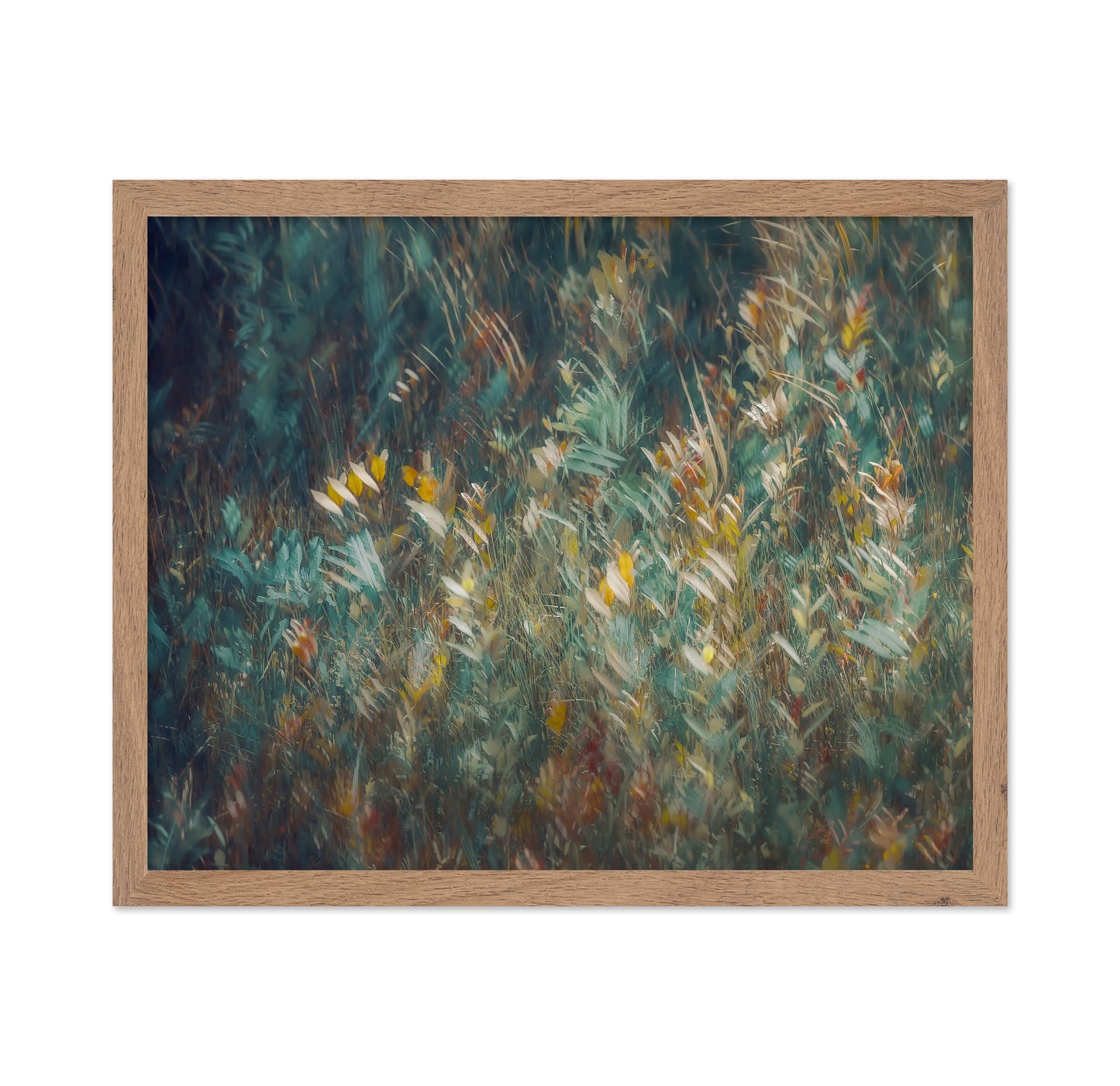Wild Grass Field