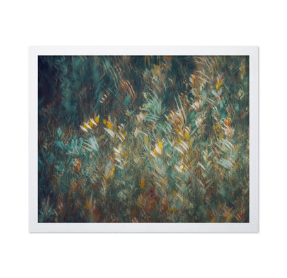 Wild Grass Field