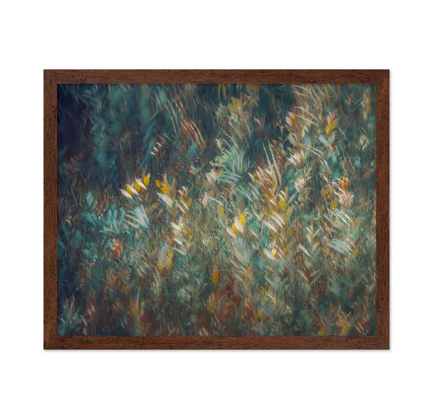 Wild Grass Field