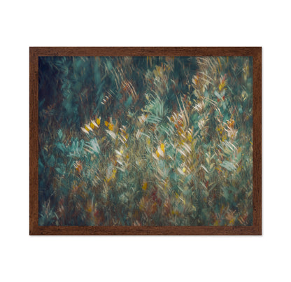 Wild Grass Field