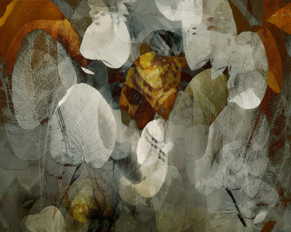 Autumn Leaf Layers