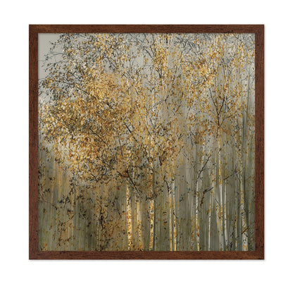 Golden Birch Trees
