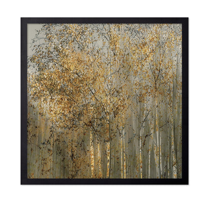 Golden Birch Trees
