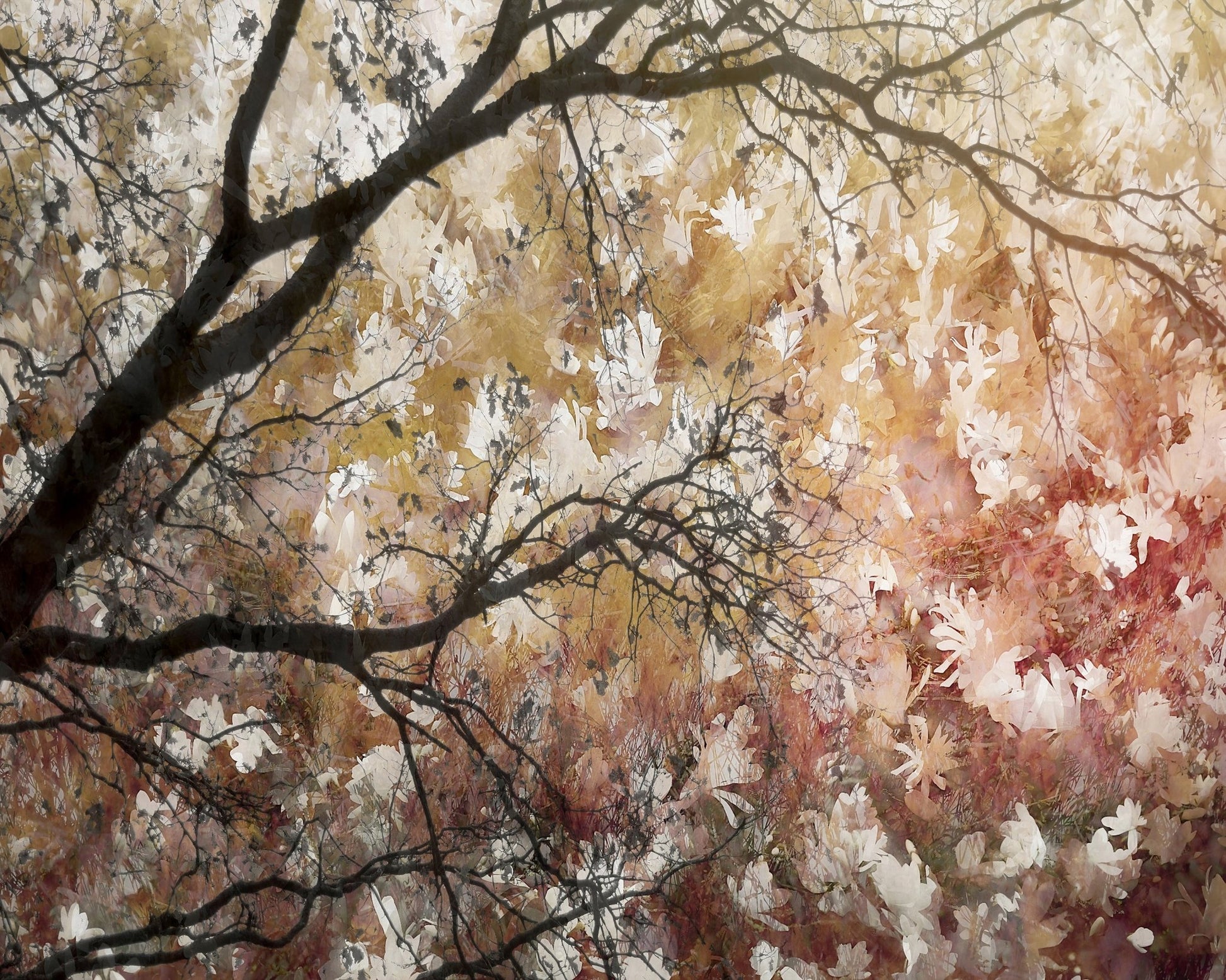 Floral Branch Layers