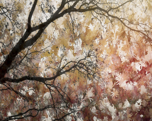 Floral Branch Layers