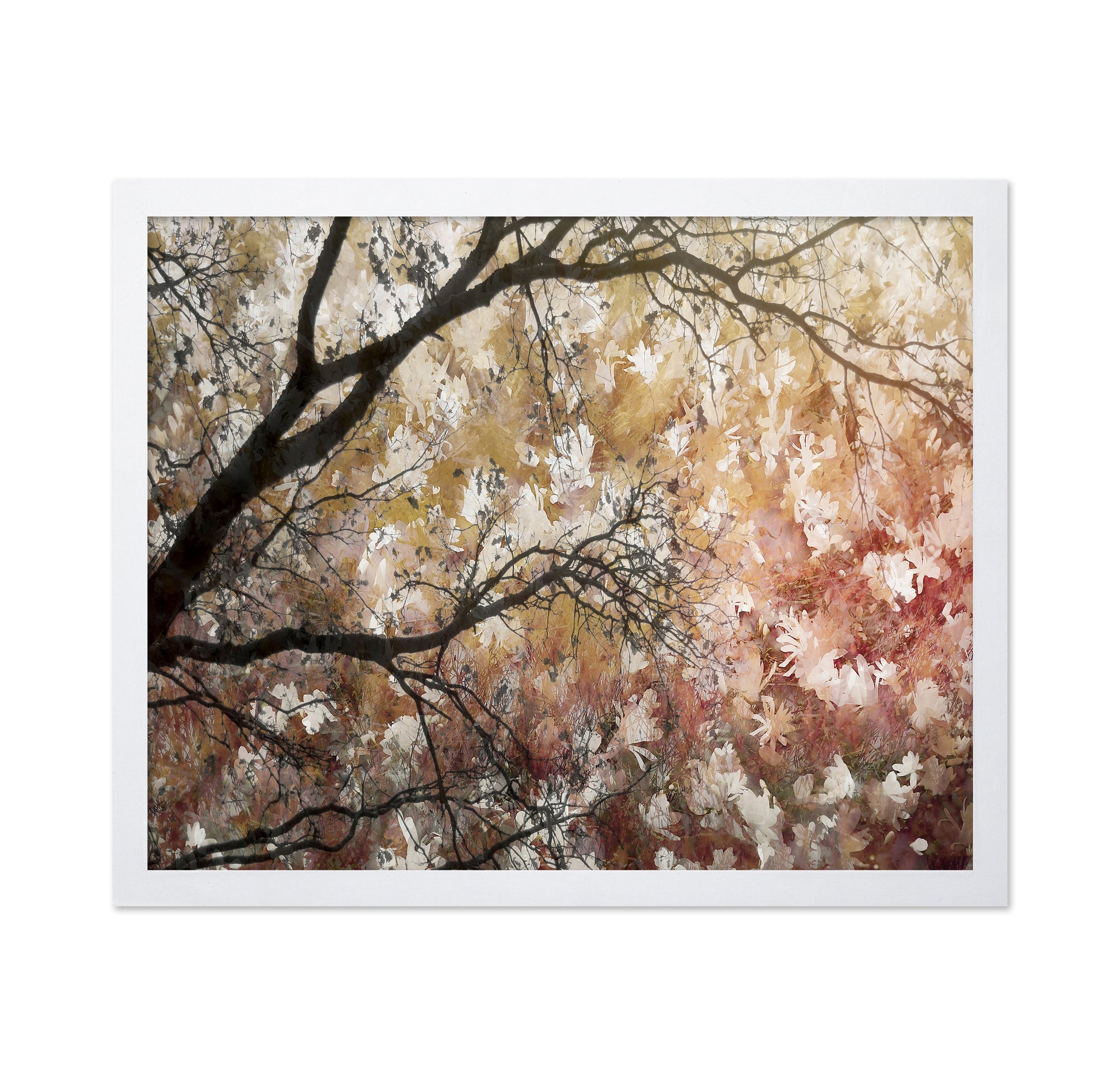 Floral Branch Layers