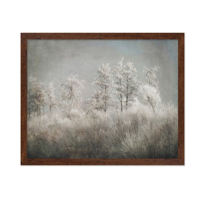 Frosted Winter Trees