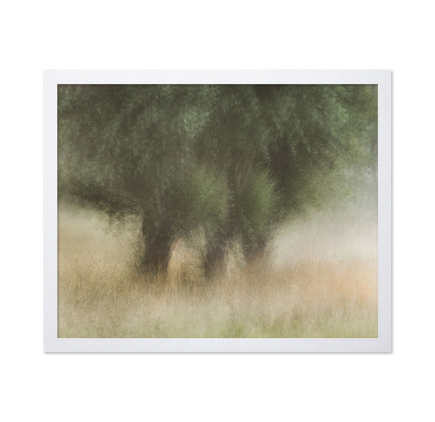 Soft Willow Trees