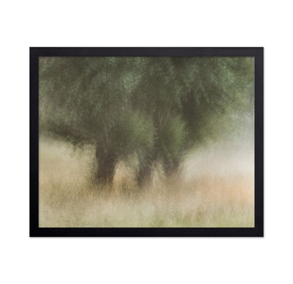 Soft Willow Trees