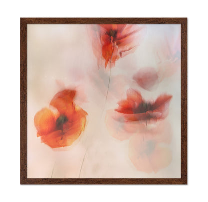 Soft Red Poppies
