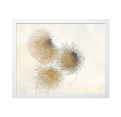 Delicate Seed Heads
