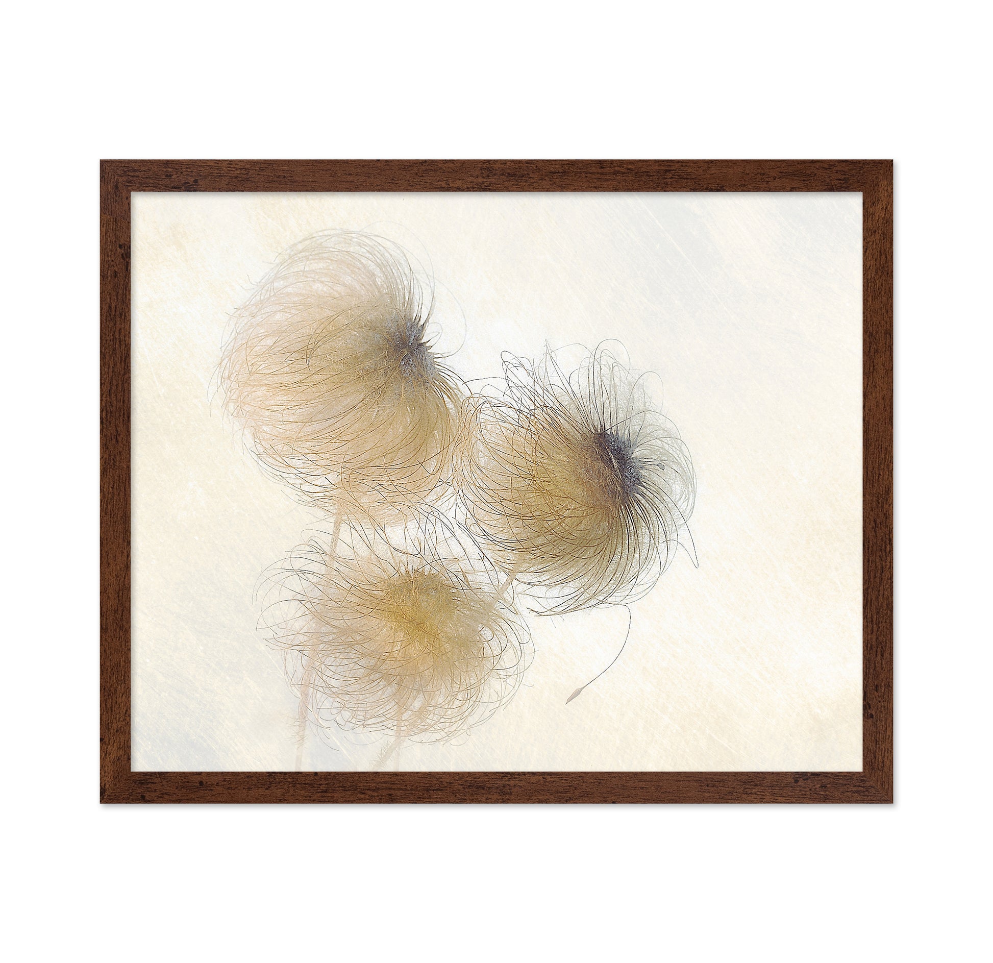 Delicate Seed Heads