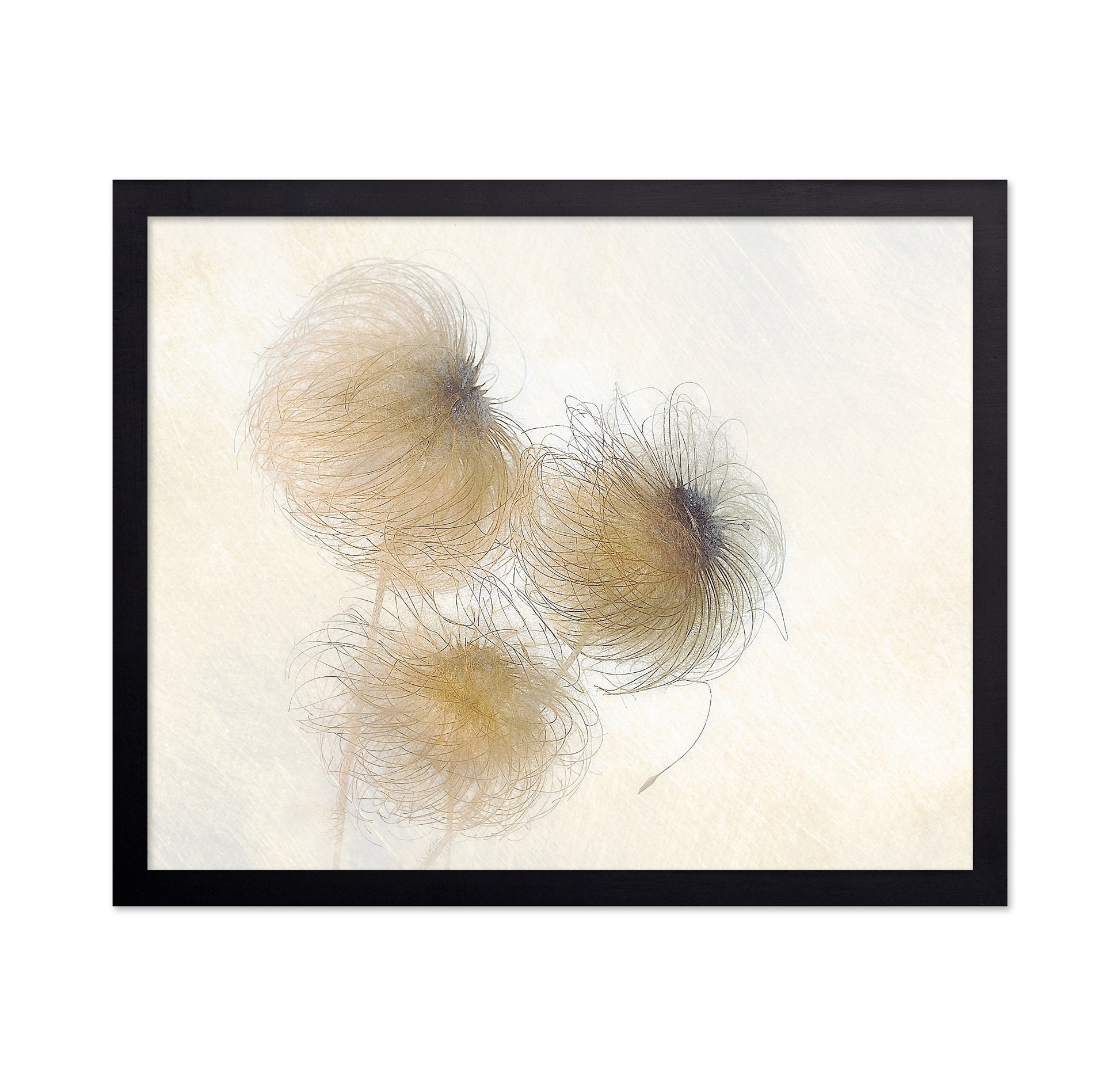 Delicate Seed Heads