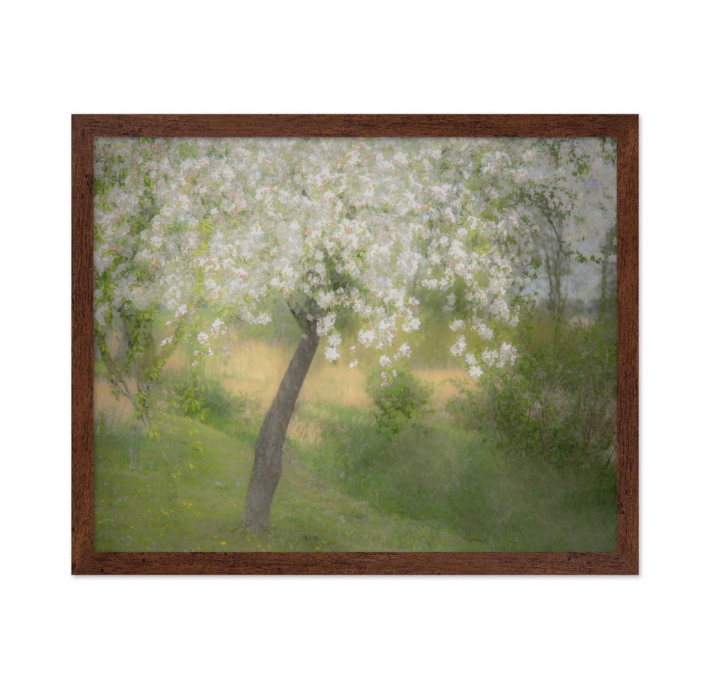 Blossoming Garden Tree