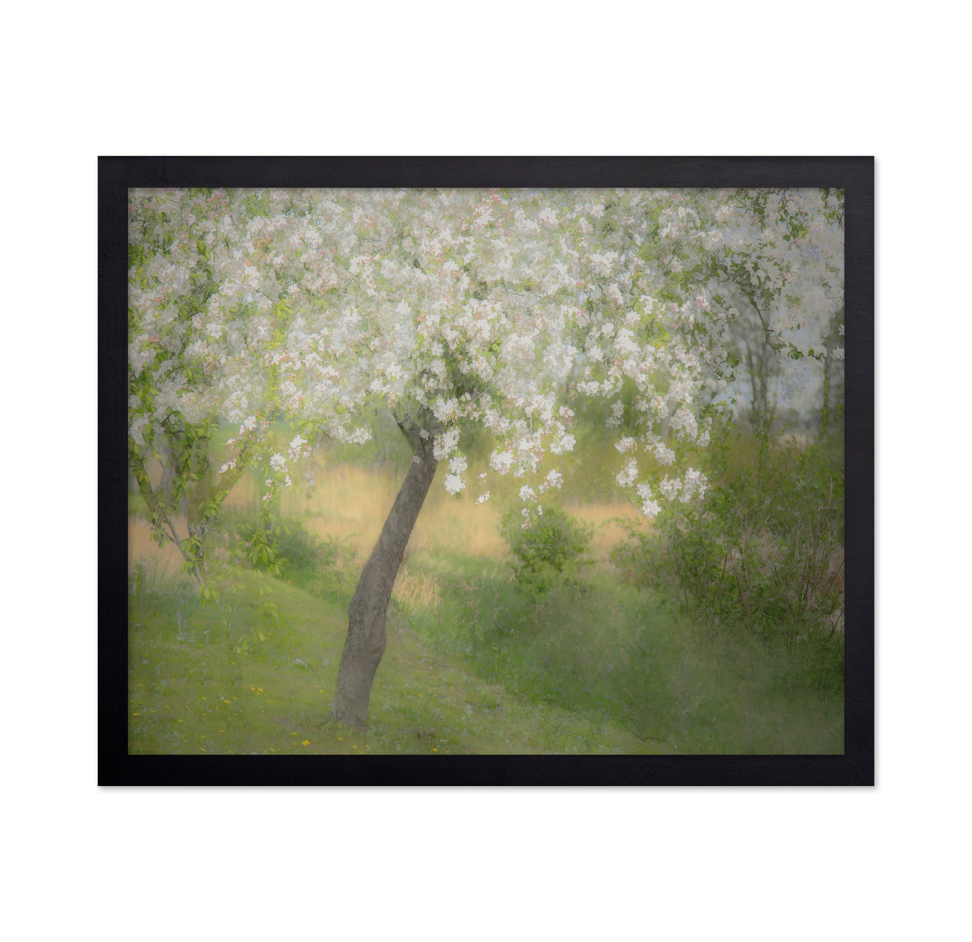 Blossoming Garden Tree