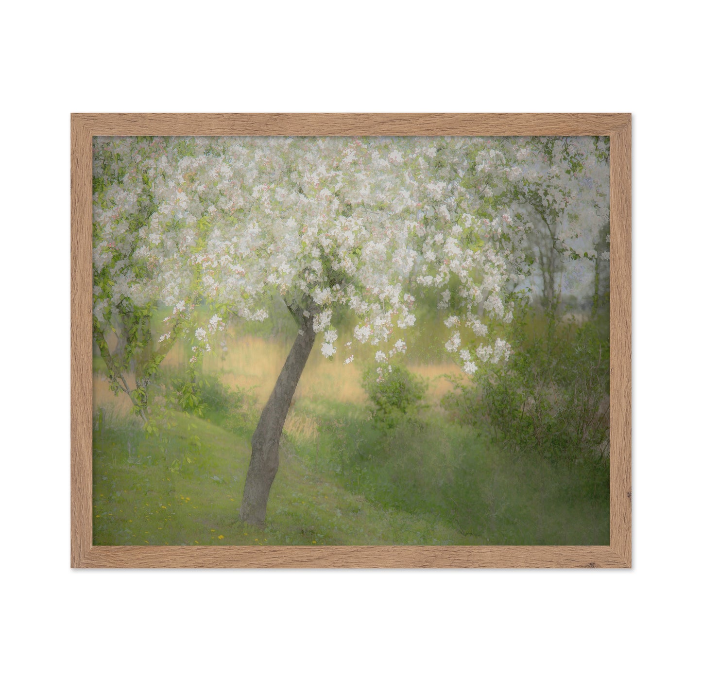 Blossoming Garden Tree